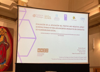  Evaluación de la aplicación del Positive and Negative Affect Schedule (PANAS-N) para adolescentes uruguayos en contextos de vulnerabilidad social