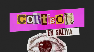 imagen proyecto