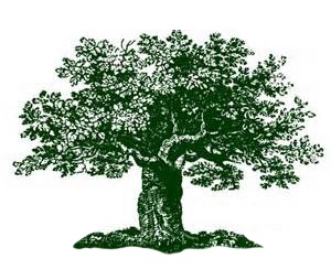 arbol